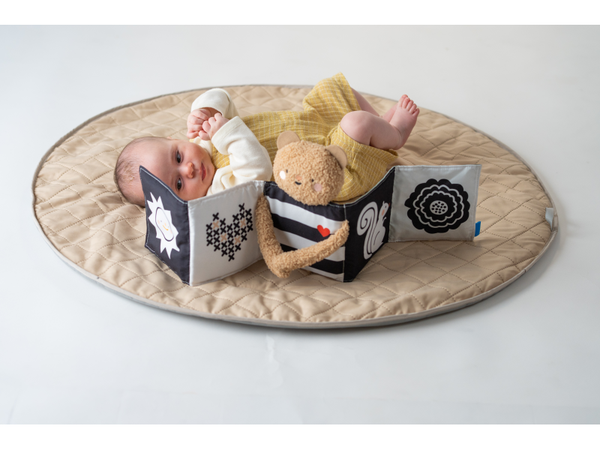 MEDVEDÍK PLYŠOVÝ S KNIŽKOU SNUGGLE BEAR