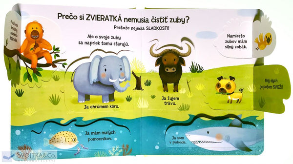 PREČO SI MUSÍM ČISTIŤ ZUBY? 3r