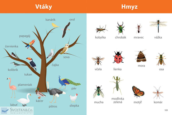 PRVÉ SLOVÁ MONTESSORI 3r
